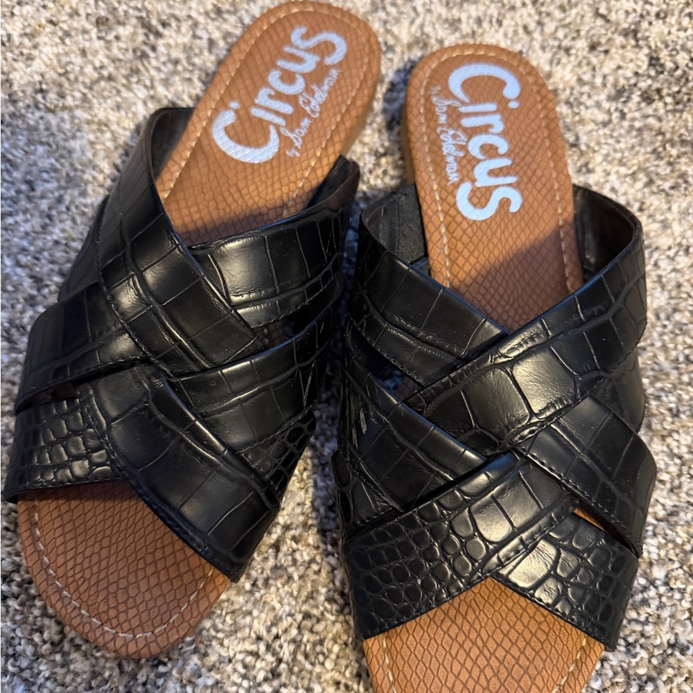 Circus by Sam Edelman Black Croc-Embossed Slides
